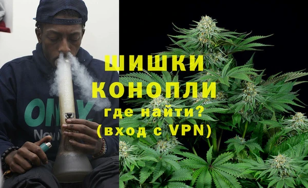 ГАЛЛЮЦИНОГЕННЫЕ ГРИБЫ Кукмор