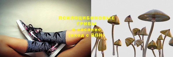 скорость Алексин