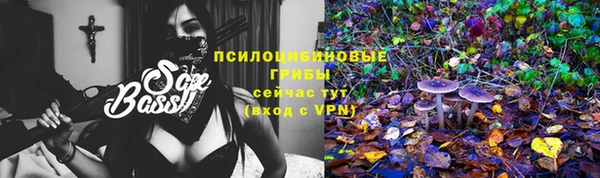 скорость Алексин